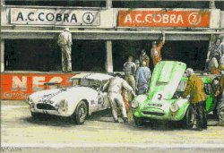Cobra Accessoies